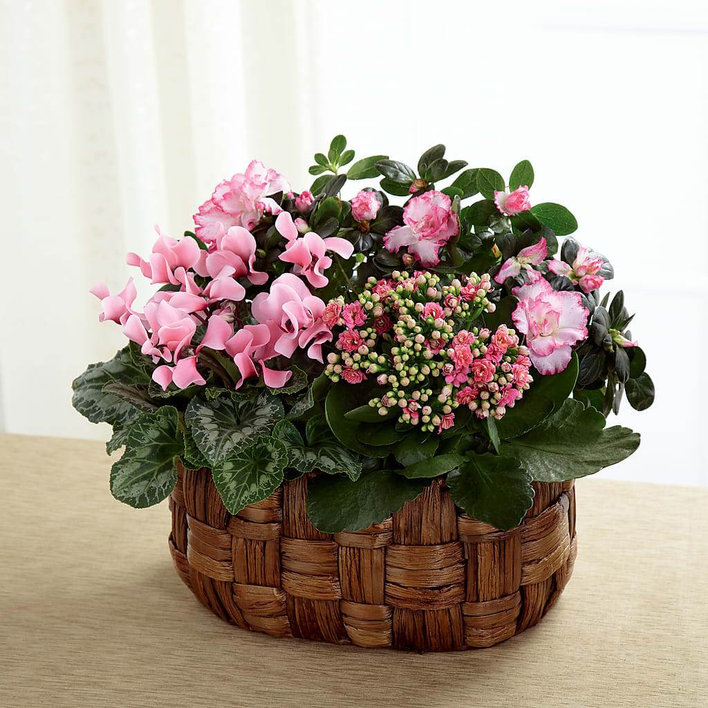 Pink Assortment – ALMENDRO'S FLOWER, Kissimmee FL