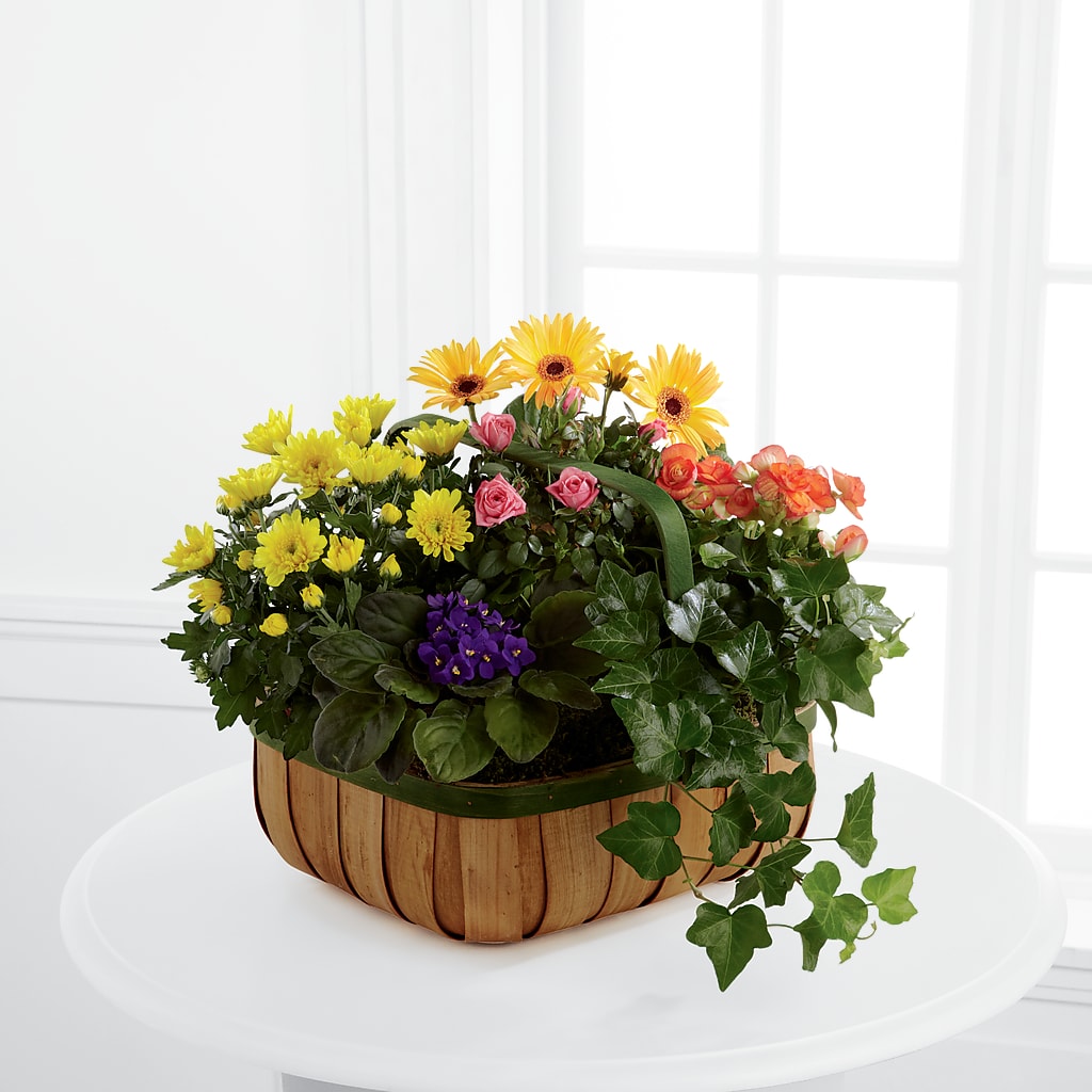 Gentle Blossoms Basket – ALMENDRO'S FLOWER, Kissimmee FL