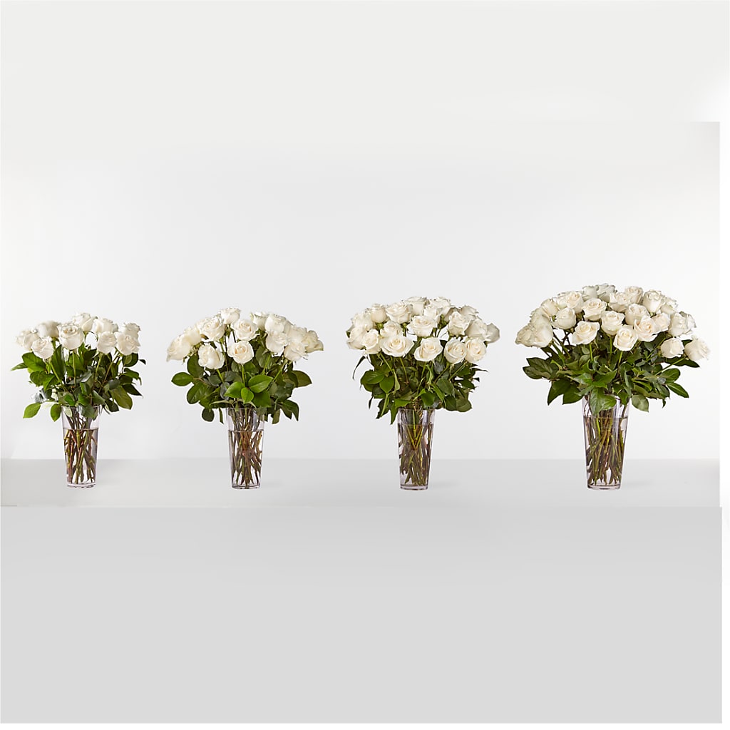 Long Stem White Rose Bouquet – ALMENDRO'S FLOWER, Kissimmee FL