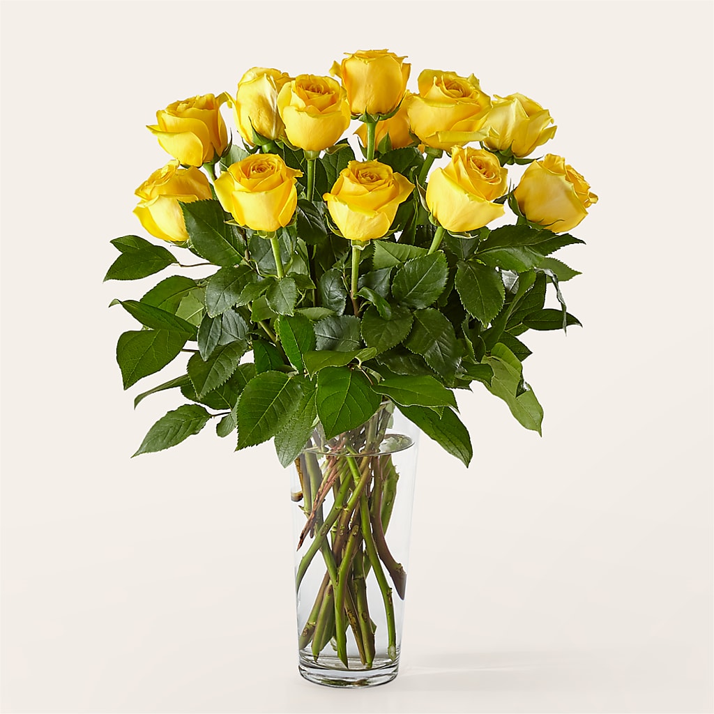 Long Stem Yellow Rose Bouquet – ALMENDRO'S FLOWER, Kissimmee FL