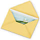 Greeting Card – ALMENDRO'S FLOWER, Kissimmee FL