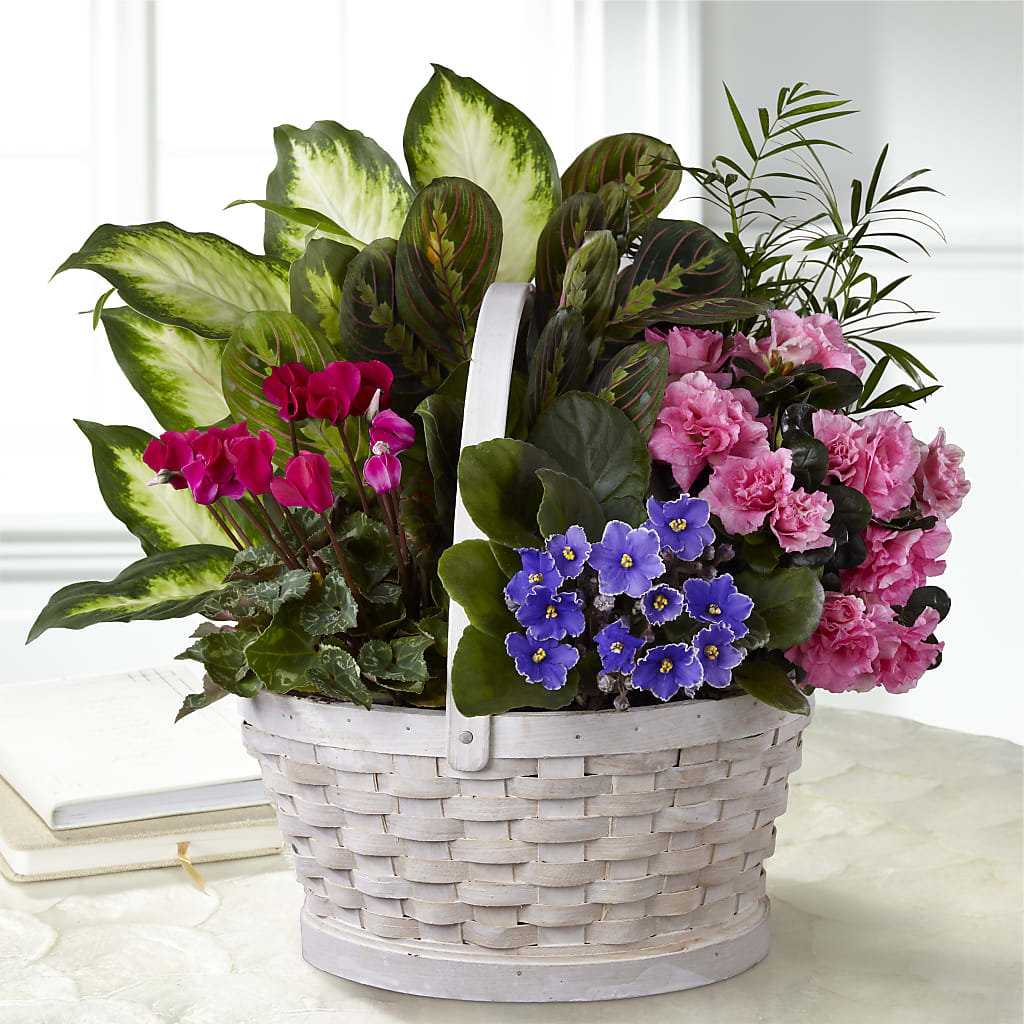 Peaceful Garden Planter – ALMENDRO'S FLOWER, Kissimmee FL