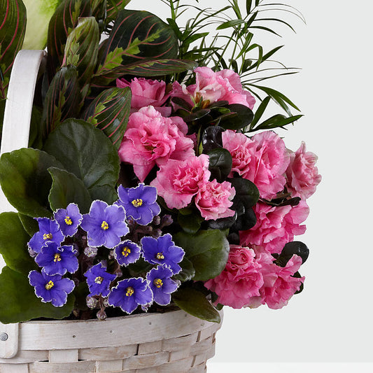 Peaceful Garden Planter – ALMENDRO'S FLOWER, Kissimmee FL