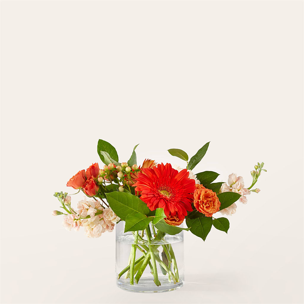 Paloma Please Bouquet – ALMENDRO'S FLOWER, Kissimmee FL