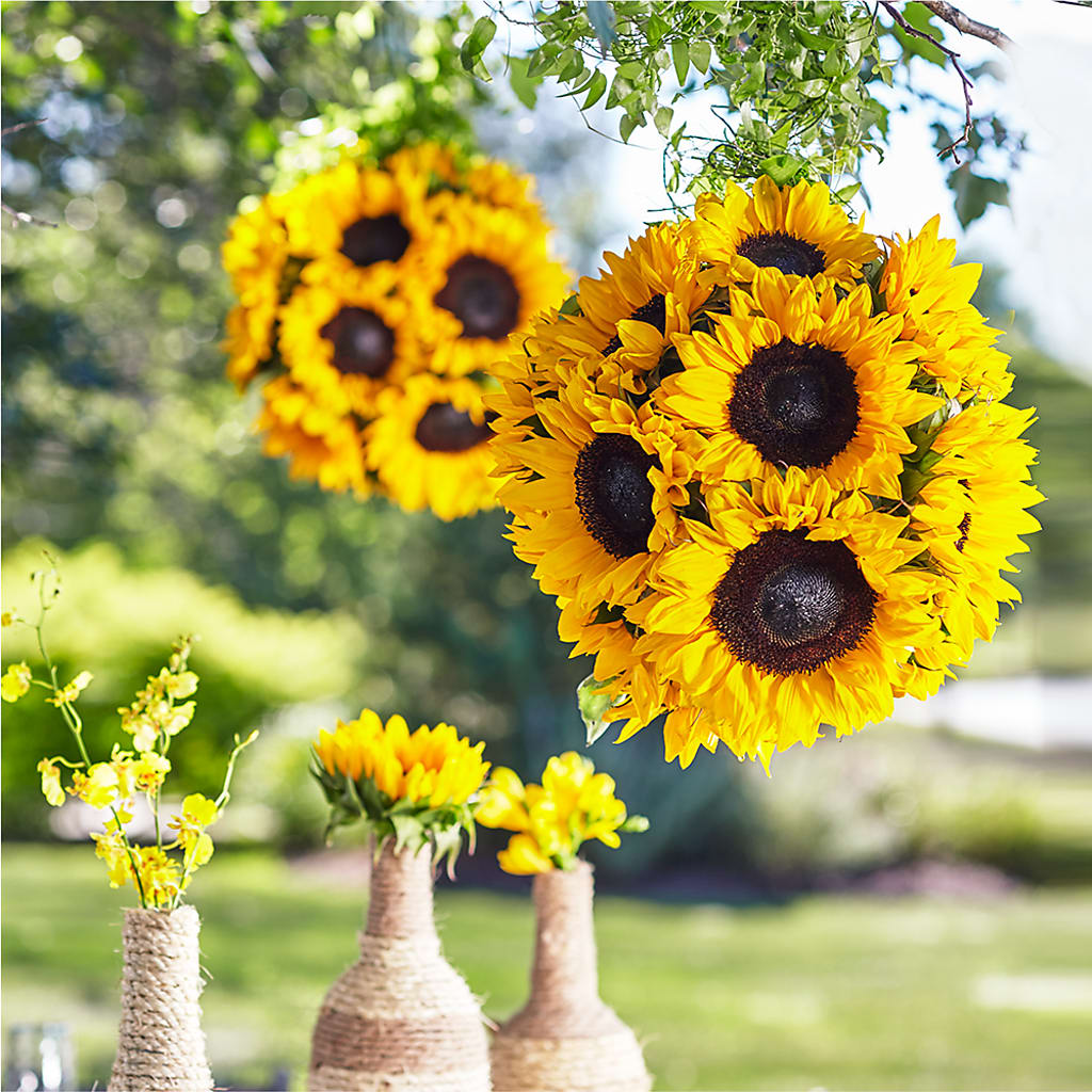 Sublime Garden Hanging Arrangement – ALMENDRO'S FLOWER, Kissimmee FL