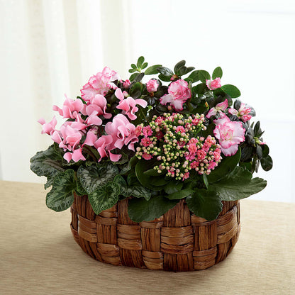 Pink Assortment – ALMENDRO'S FLOWER, Kissimmee FL