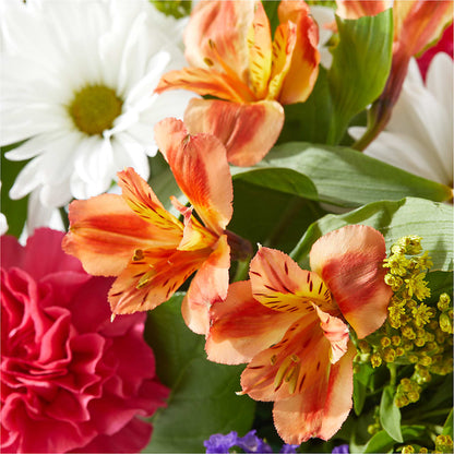 Oopsie Daisy Box Bouquet – ALMENDRO'S FLOWER, Kissimmee FL