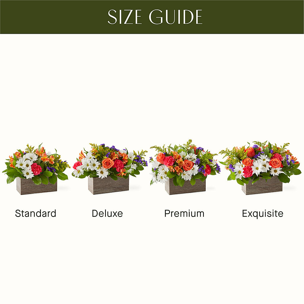 Oopsie Daisy Box Bouquet – ALMENDRO'S FLOWER, Kissimmee FL