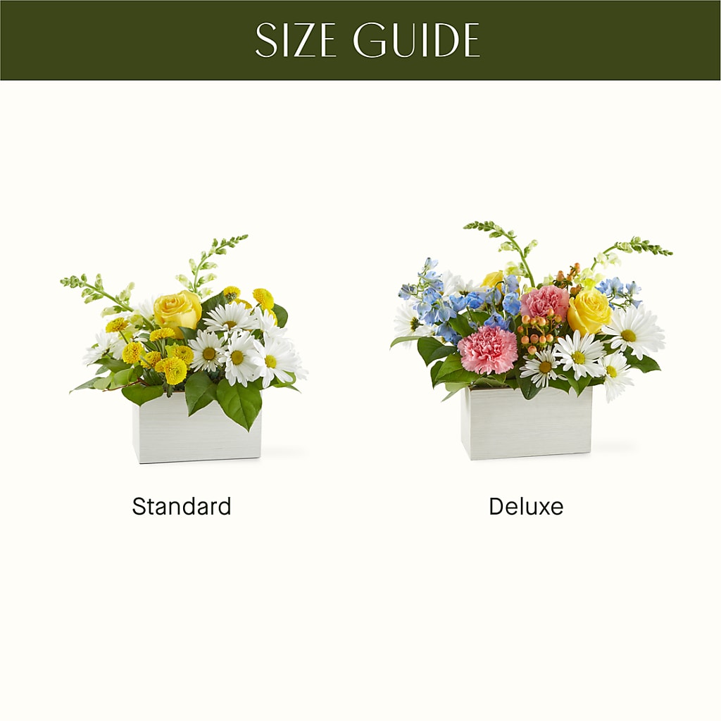 Sun Salutation Box Bouquet – ALMENDRO'S FLOWER, Kissimmee FL
