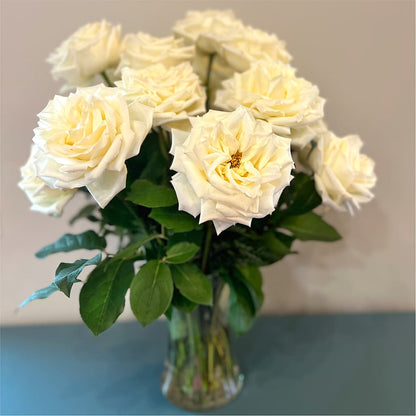 Long Stem Yellow Rose Bouquet – ALMENDRO'S FLOWER, Kissimmee FL