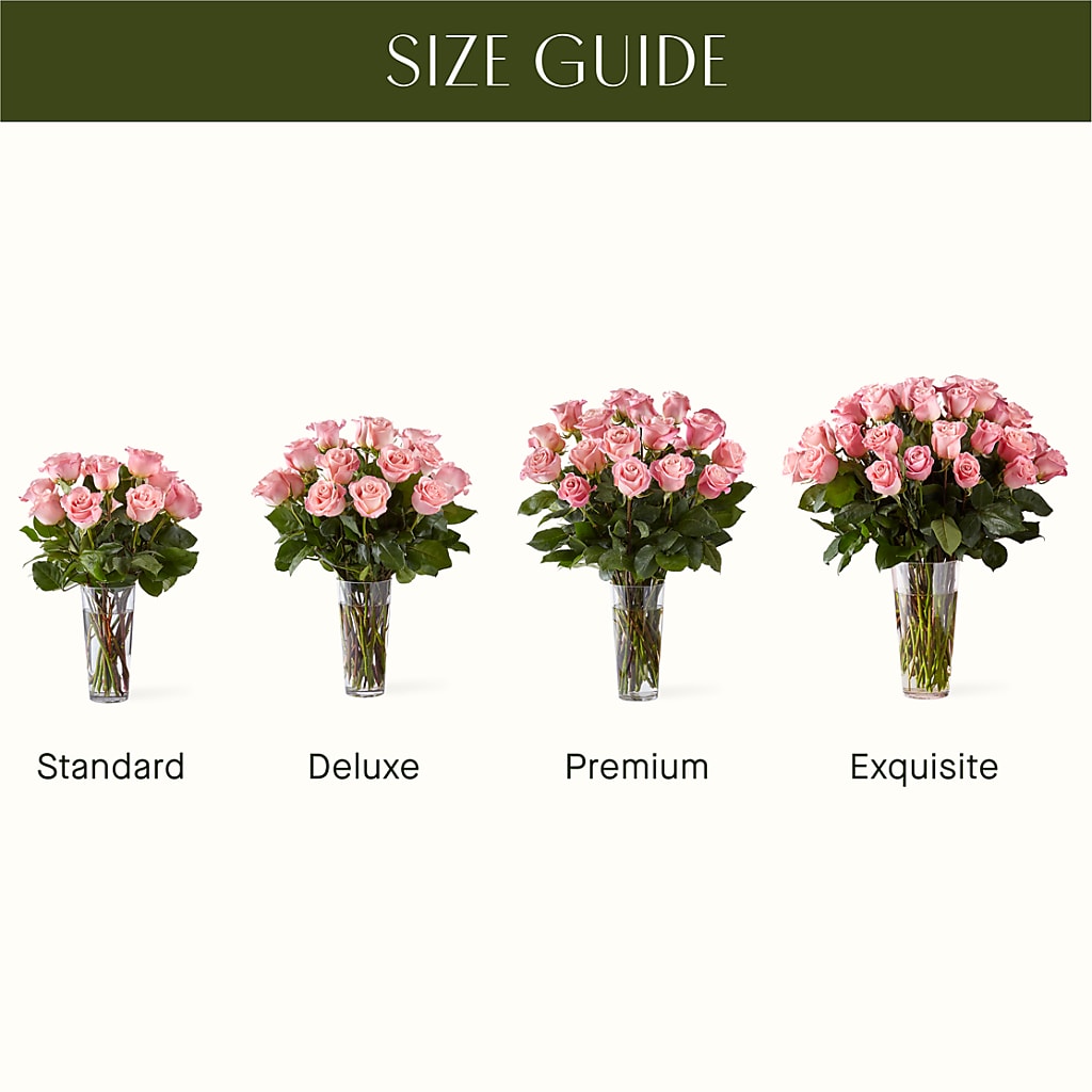 Long Stem Pink Rose Bouquet – ALMENDRO'S FLOWER, Kissimmee FL