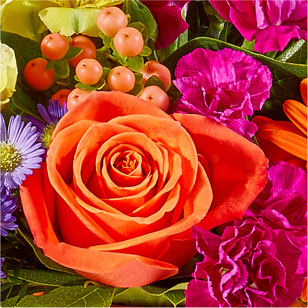 Tricks & Treats Pumpkin – ALMENDRO'S FLOWER, Kissimmee FL