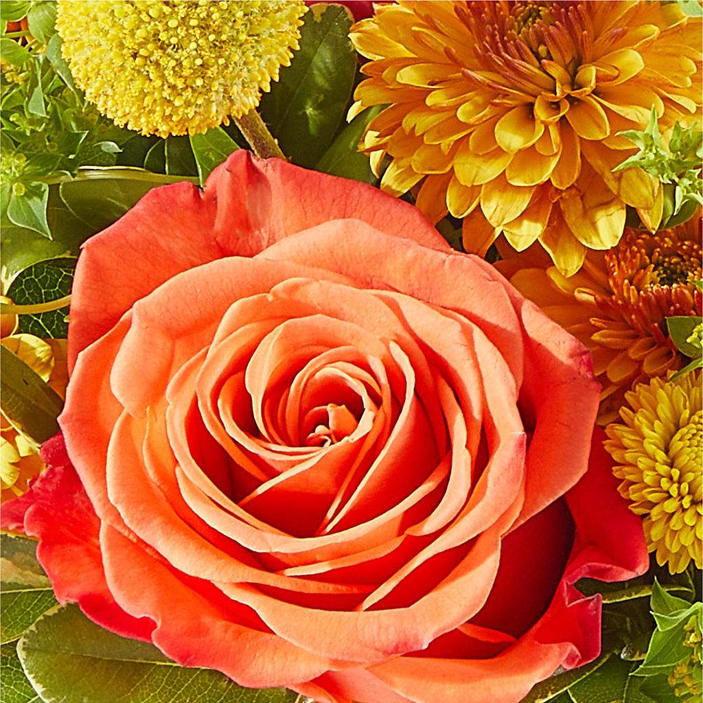 Gourdgeous Pumpkin – ALMENDRO'S FLOWER, Kissimmee FL