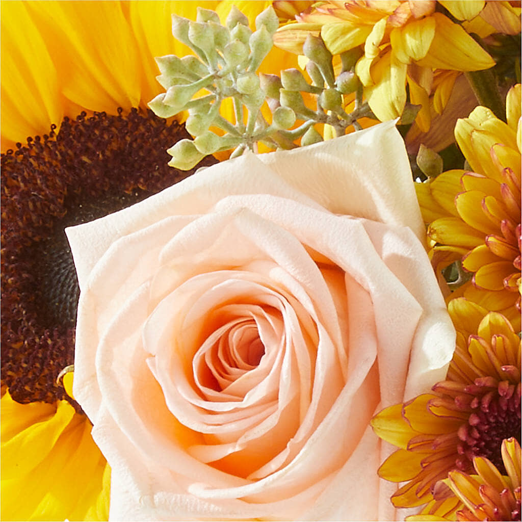 Pumpkin to Talk About Bouquet – ALMENDRO'S FLOWER, Kissimmee FL
