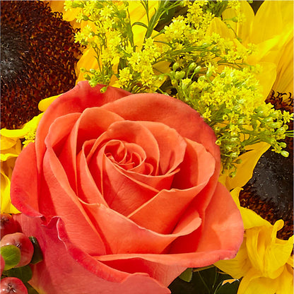 Pick of the Patch Pumpkin Bouquet – ALMENDRO'S FLOWER, Kissimmee FL