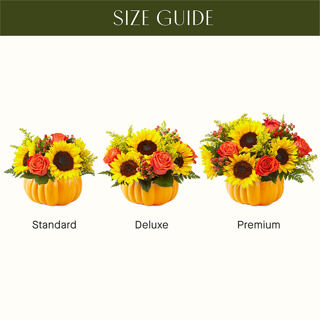 Pick of the Patch Pumpkin Bouquet – ALMENDRO'S FLOWER, Kissimmee FL
