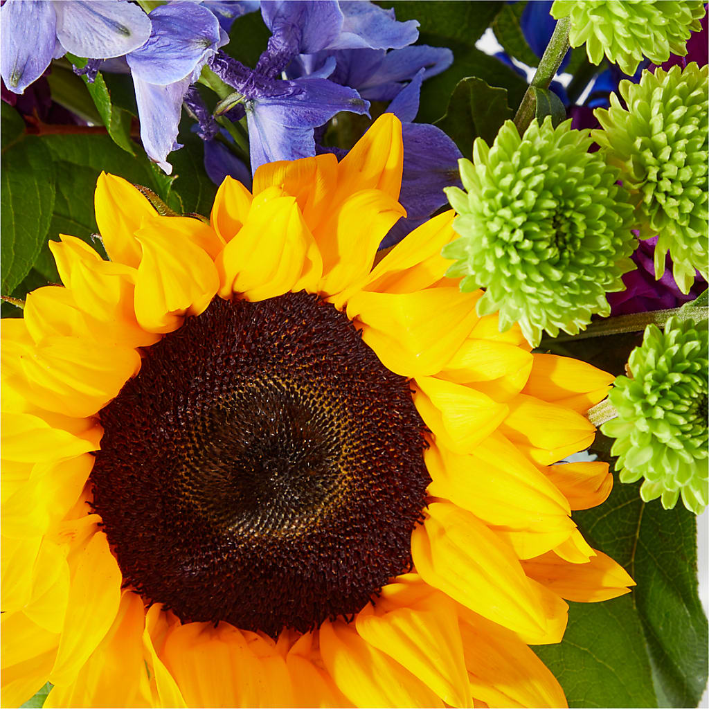 Catching Rays Bouquet – ALMENDRO'S FLOWER, Kissimmee FL