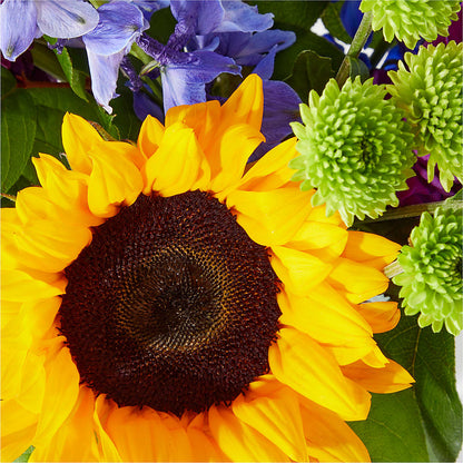 Catching Rays Bouquet – ALMENDRO'S FLOWER, Kissimmee FL