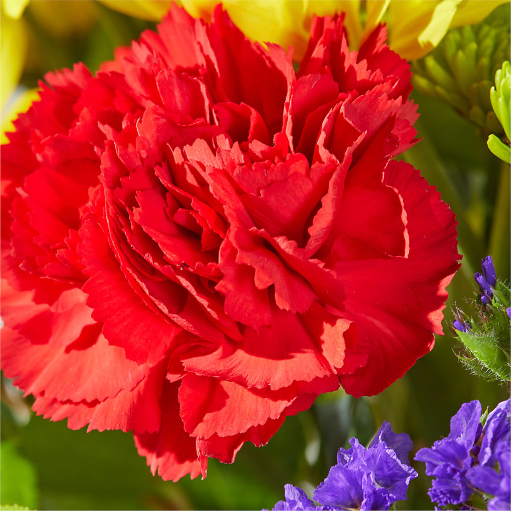 Brighter Days Bouquet – ALMENDRO'S FLOWER, Kissimmee FL