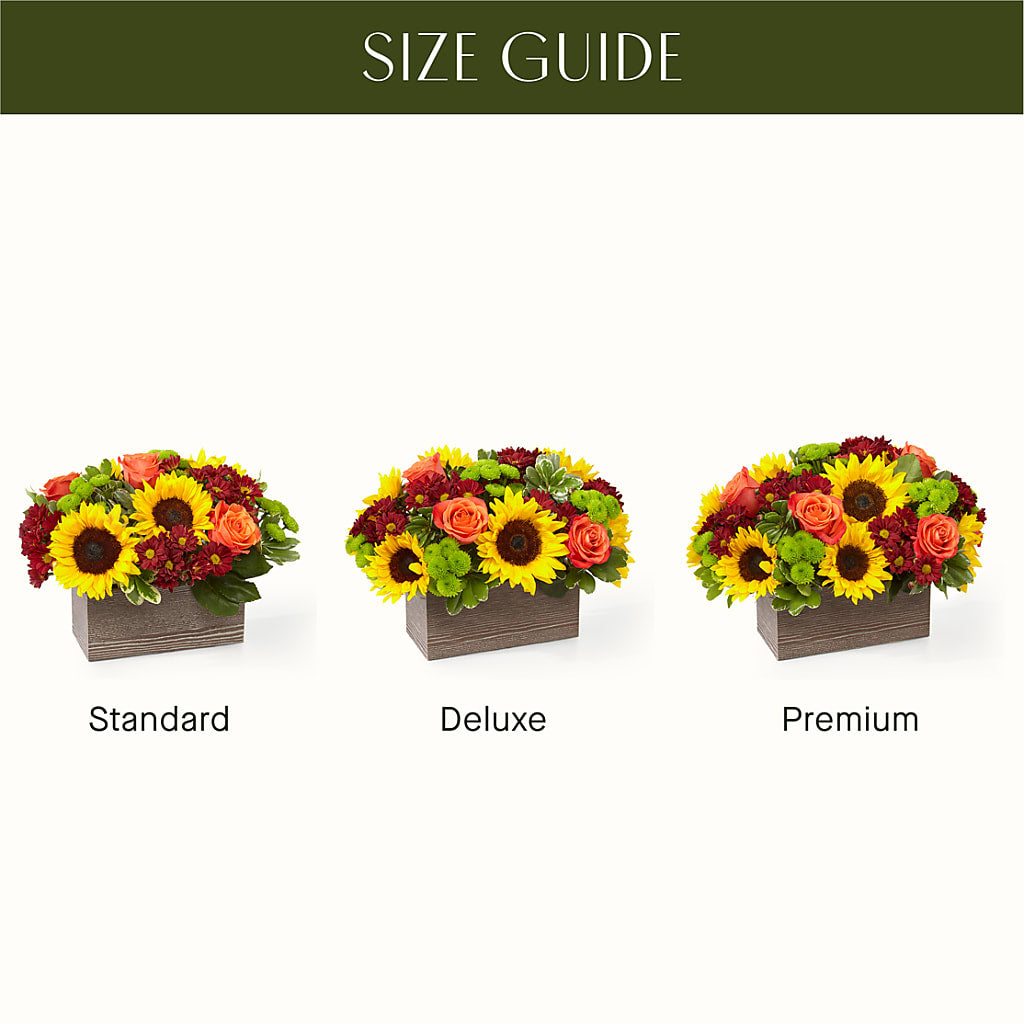 Happy Harvest Garden – ALMENDRO'S FLOWER, Kissimmee FL