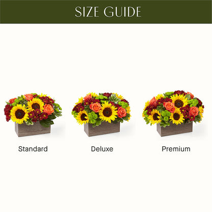 Happy Harvest Garden – ALMENDRO'S FLOWER, Kissimmee FL