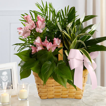 Living Spirit Dishgarden – ALMENDRO'S FLOWER, Kissimmee FL