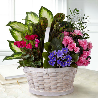Peaceful Garden Planter – ALMENDRO'S FLOWER, Kissimmee FL