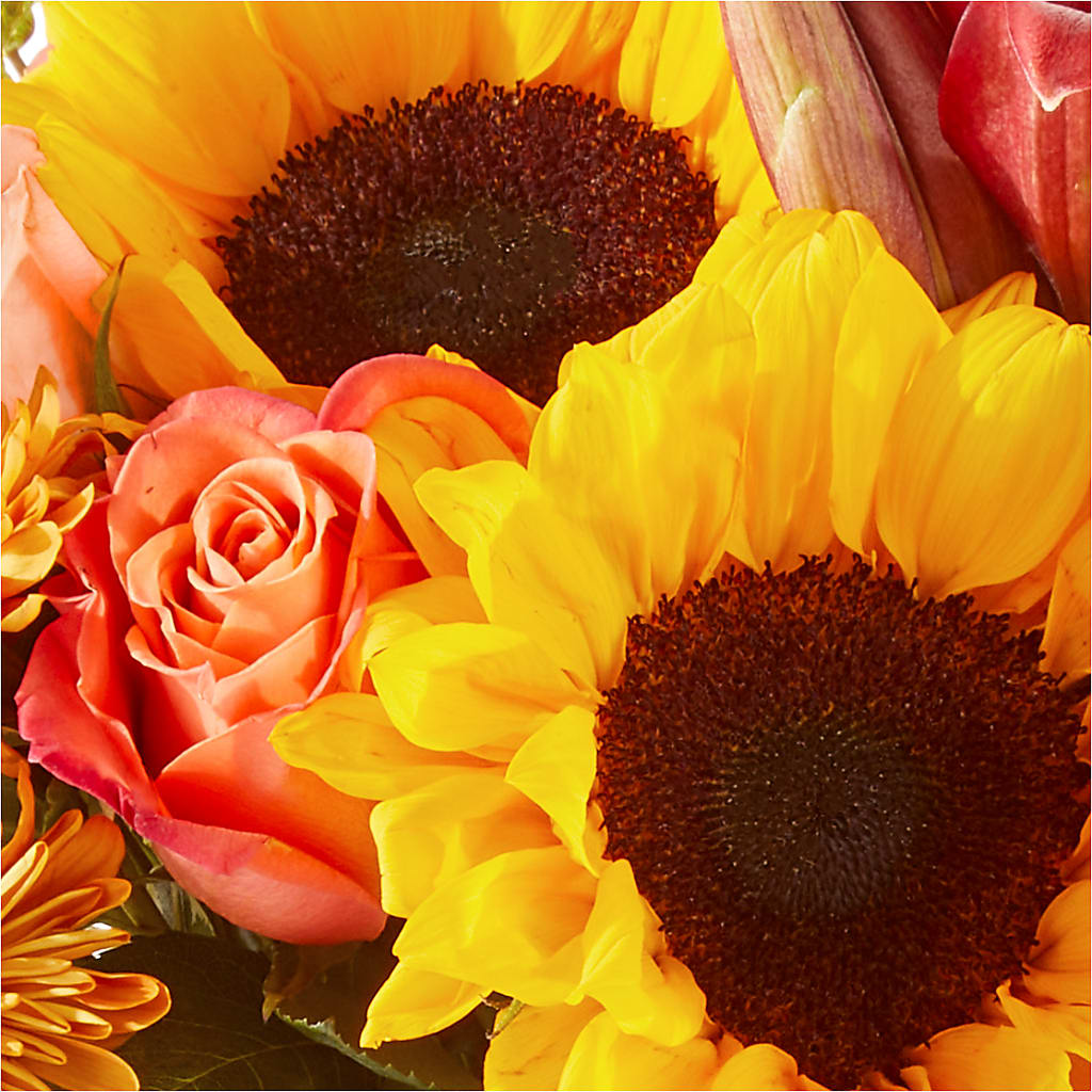 Acorn Lane Bouquet – ALMENDRO'S FLOWER, Kissimmee FL