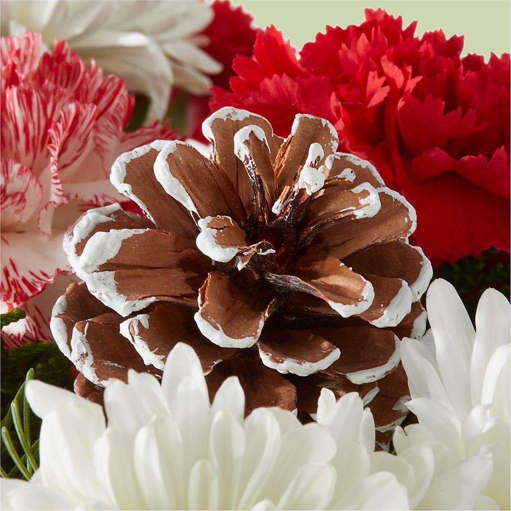 Candy Cane Lane Bouquet – ALMENDRO'S FLOWER, Kissimmee FL
