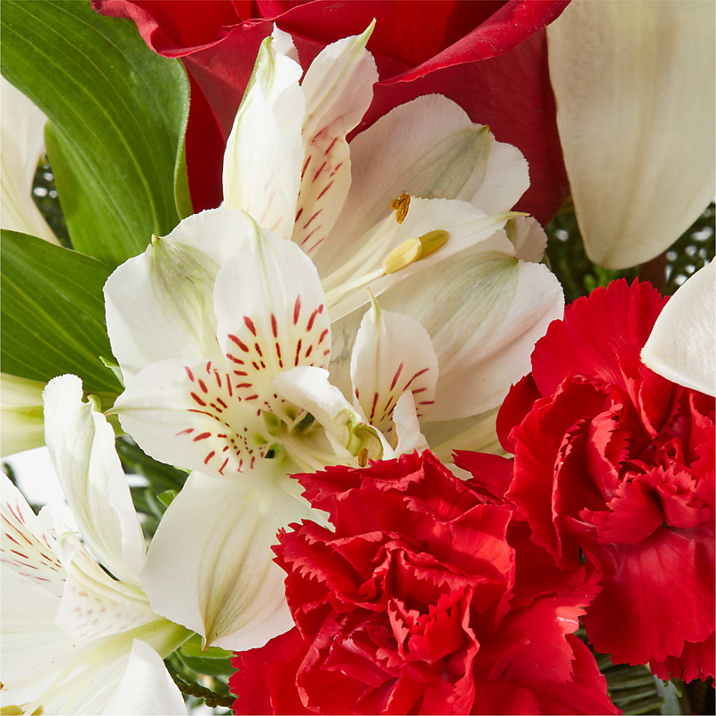 Holiday Season Bouquet – ALMENDRO'S FLOWER, Kissimmee FL
