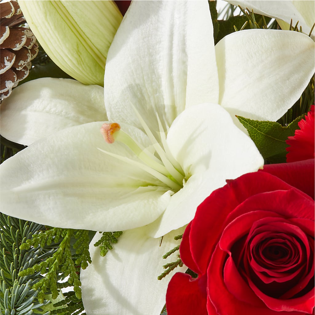 Oh So Jolly Bouquet – ALMENDRO'S FLOWER, Kissimmee FL