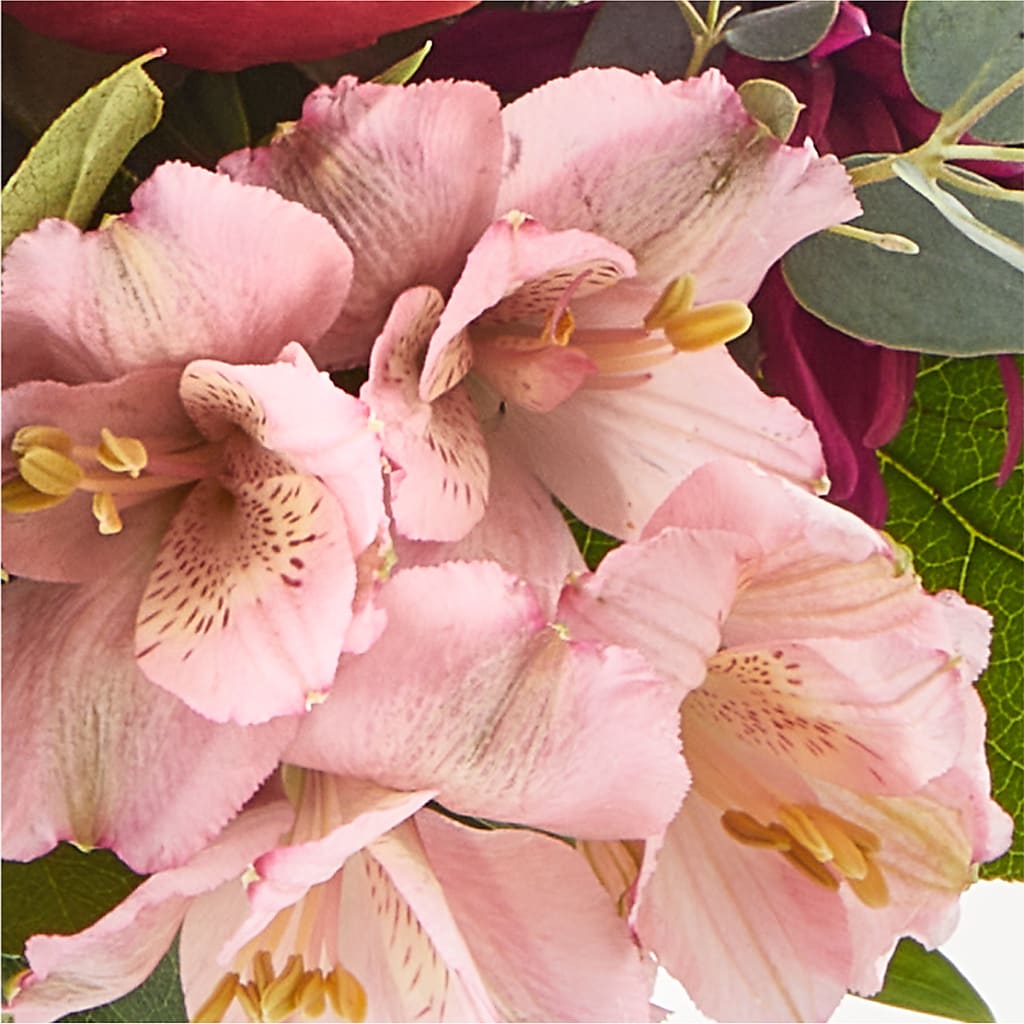 Berry Cobbler Bouquet – ALMENDRO'S FLOWER, Kissimmee FL