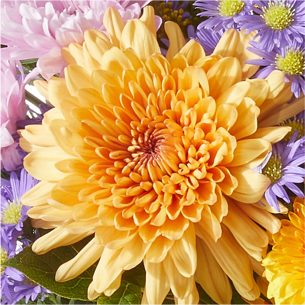 Countryside Bouquet – ALMENDRO'S FLOWER, Kissimmee FL