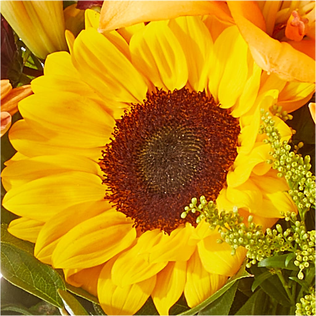 Seasons Change Bouquet – ALMENDRO'S FLOWER, Kissimmee FL