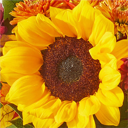 Sunny Side Bouquet – ALMENDRO'S FLOWER, Kissimmee FL