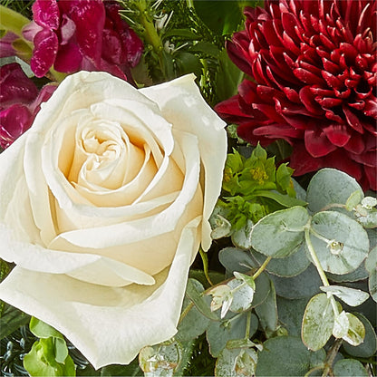 Cranberry Fizz Bouquet – ALMENDRO'S FLOWER, Kissimmee FL