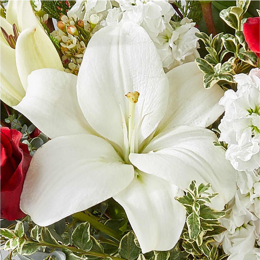 Twinkle Lights Bouquet – ALMENDRO'S FLOWER, Kissimmee FL