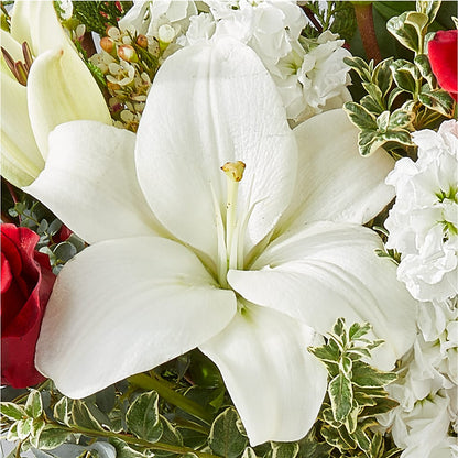 Twinkle Lights Bouquet – ALMENDRO'S FLOWER, Kissimmee FL