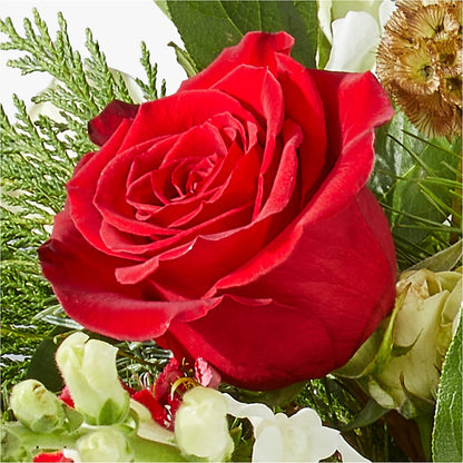 Deck the Halls Bouquet – ALMENDRO'S FLOWER, Kissimmee FL