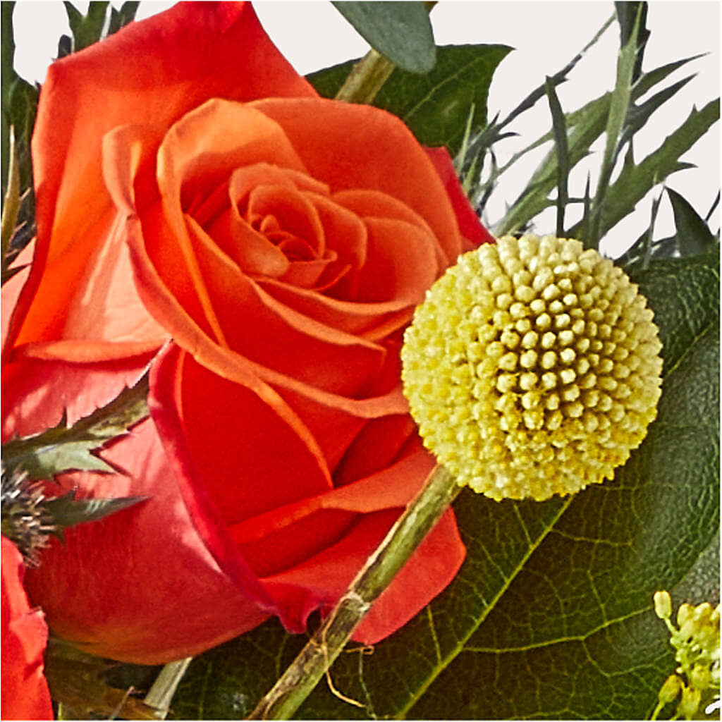 Disco Bouquet – ALMENDRO'S FLOWER, Kissimmee FL