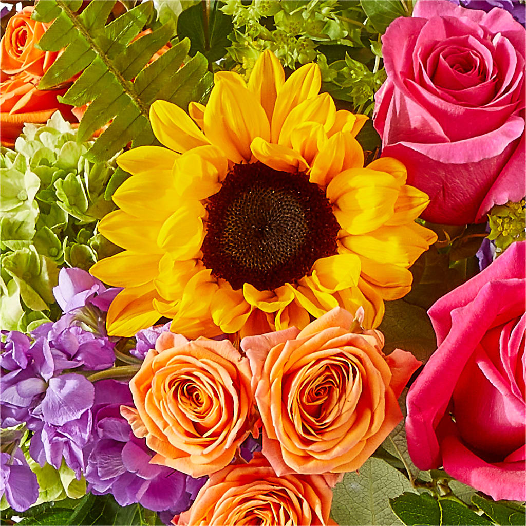 Vibrant Greetings Bouquet – ALMENDRO'S FLOWER, Kissimmee FL