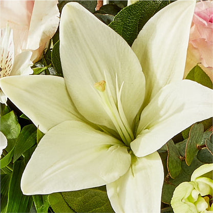 Ballet Slippers Bouquet – ALMENDRO'S FLOWER, Kissimmee FL