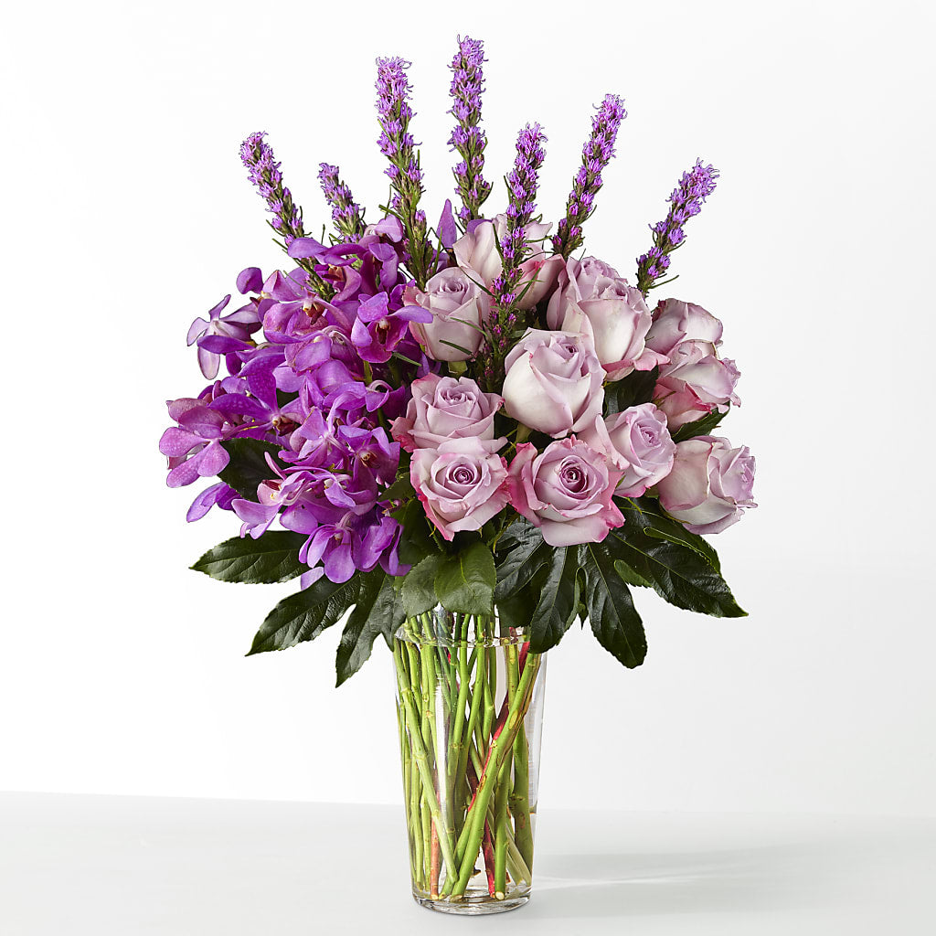 The Maximalist – ALMENDRO'S FLOWER, Kissimmee FL