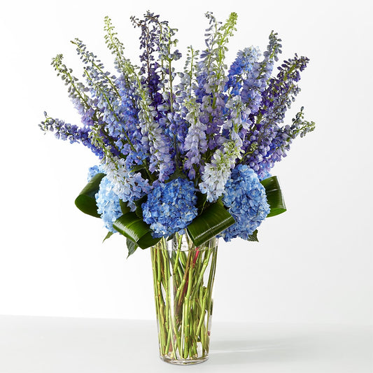 The Editorial – ALMENDRO'S FLOWER, Kissimmee FL