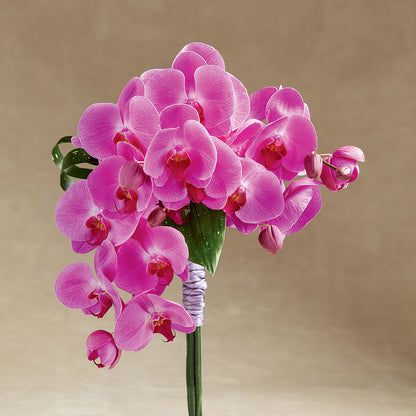 Glorious Bouquet – ALMENDRO'S FLOWER, Kissimmee FL