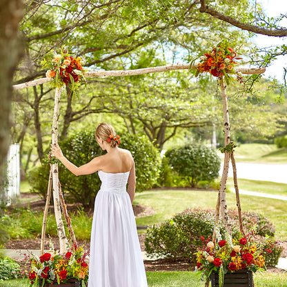 Arbor of Love Archway – ALMENDRO'S FLOWER, Kissimmee FL
